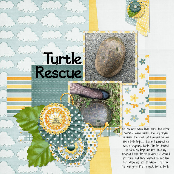 Turtle Rescue