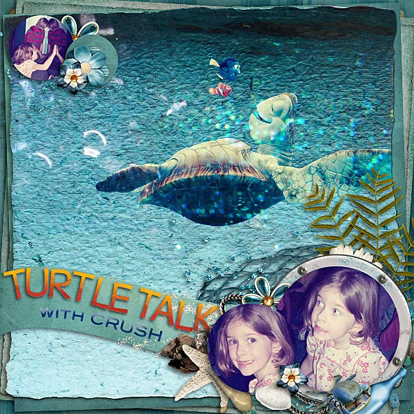 Turtle talk