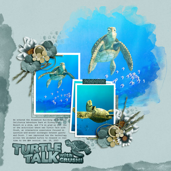 Turtle Talk
