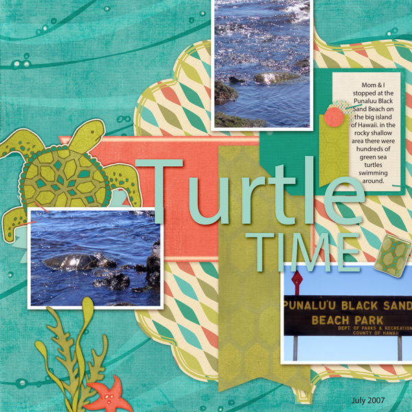 Turtle Time
