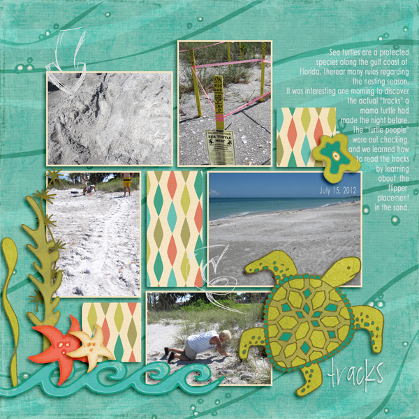 Turtle Tracks