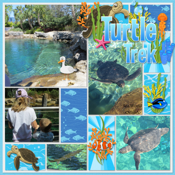 Turtle Trek {Sea World}
