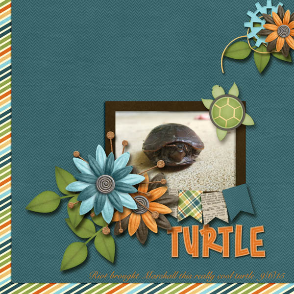 Turtle