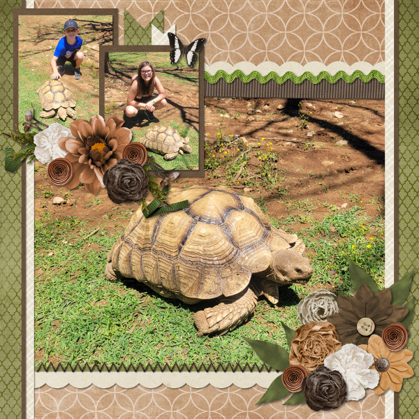 Turtle