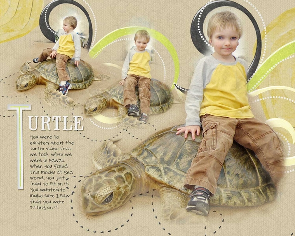 turtle