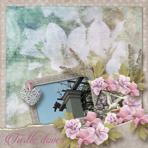 Turtle_doves
