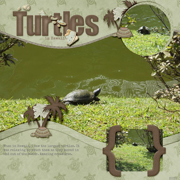 Turtles in Hawaii