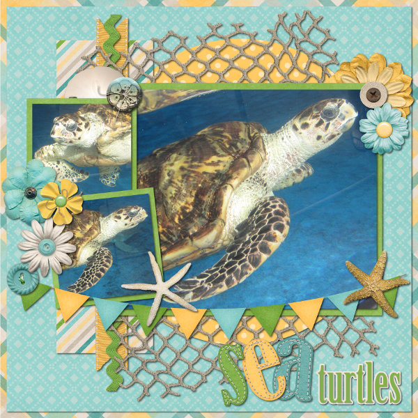 turtles