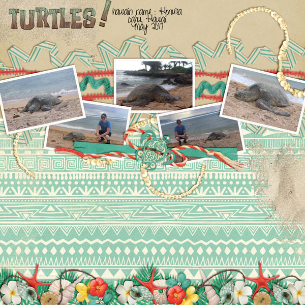 turtles
