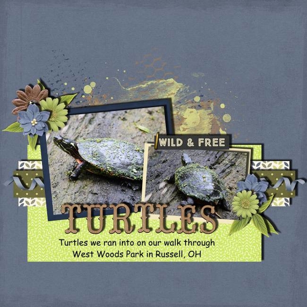 Turtles