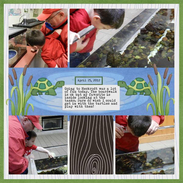 Turtles