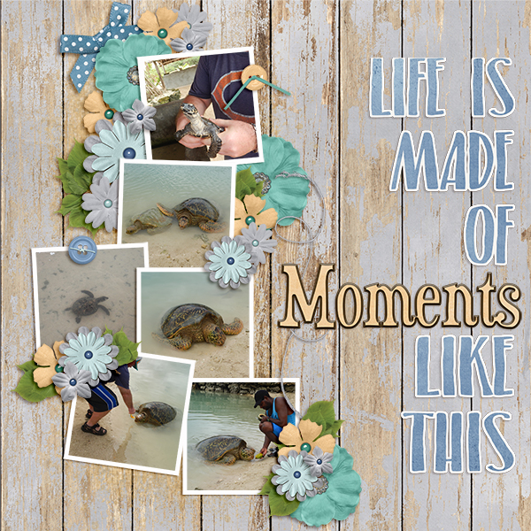Turtles