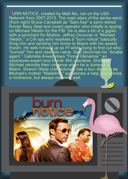 TV A to Z BURN NOTICE