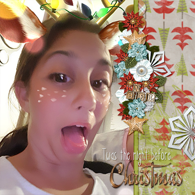 Twas the night before Christmas