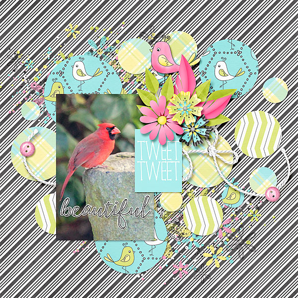 Tweet Tweet