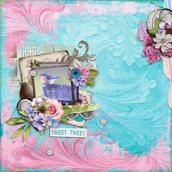 Tweet Tweet