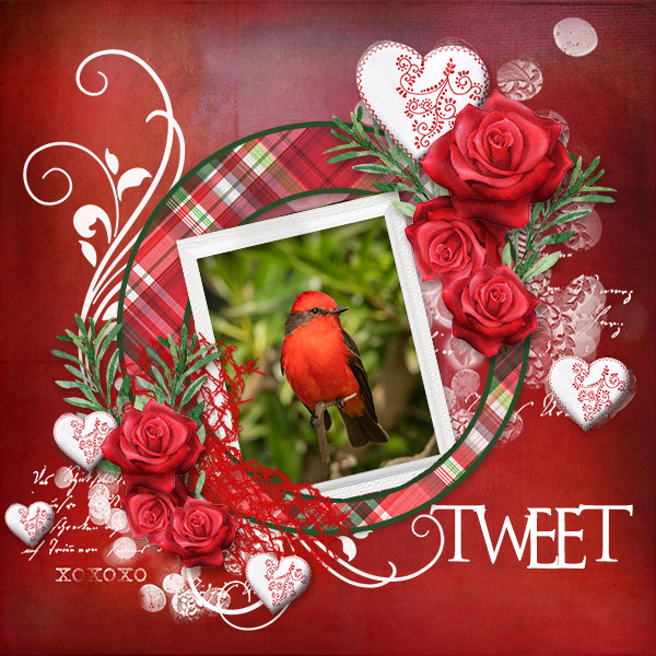 Tweet