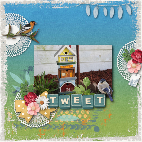 Tweet