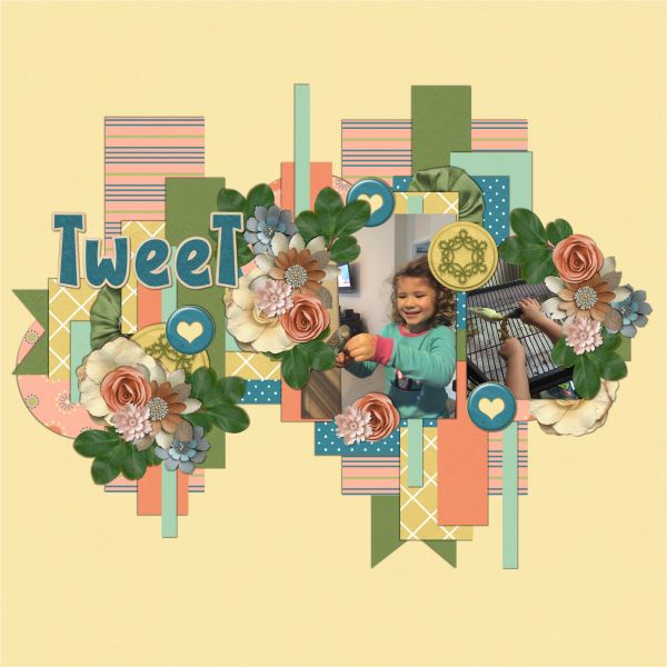 Tweet