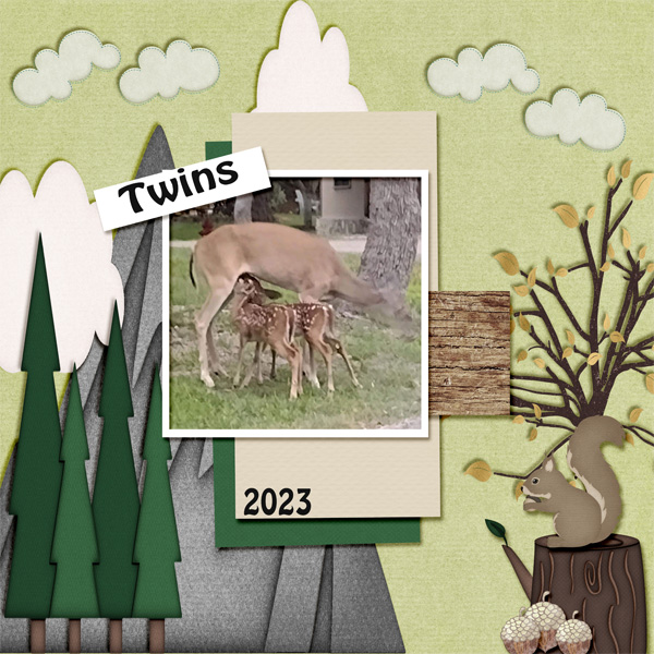 Twin Deer