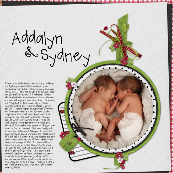 Twins2010WEB