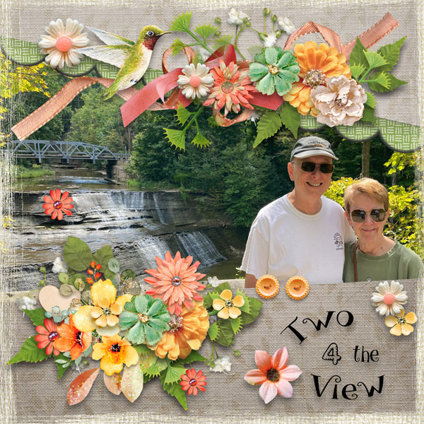 Two 4 the View