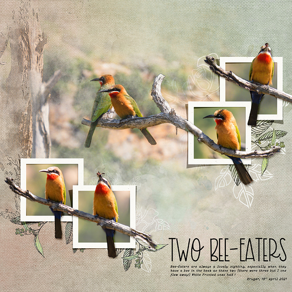 Two Bee-Eaters