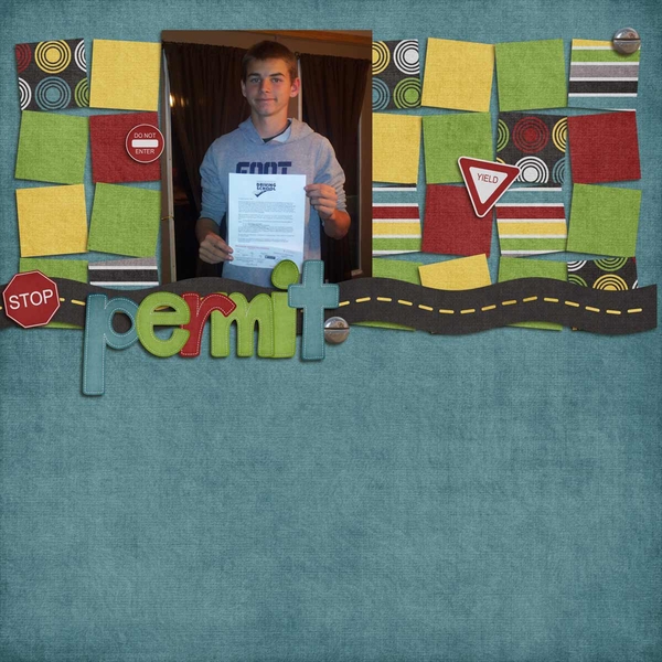 Ty-Permit-2