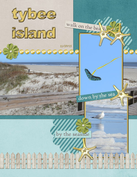 Tybee Island 11-27-15
