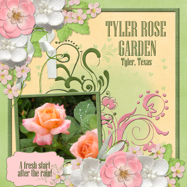 TYLER ROSE GARDEN