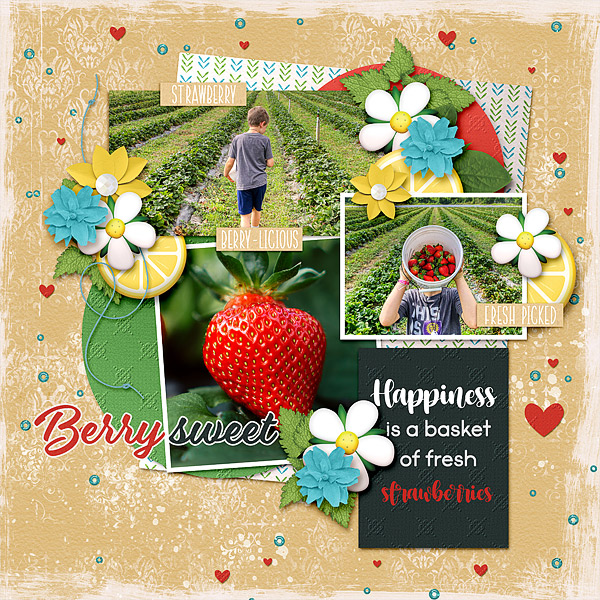 U-Pick Strawberries