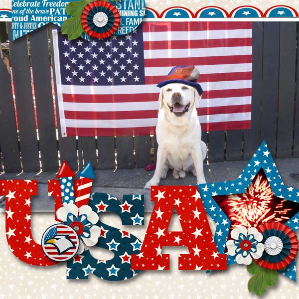U.S.A.