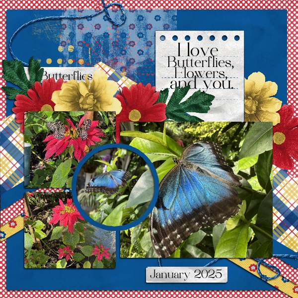 UIA 1 butterflies