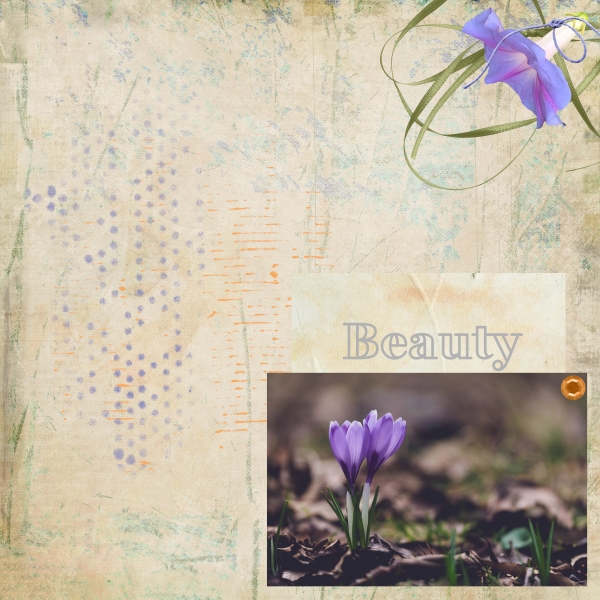 UIA-Aug-Crocus