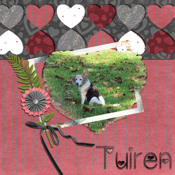 UIA FEB Tuiren