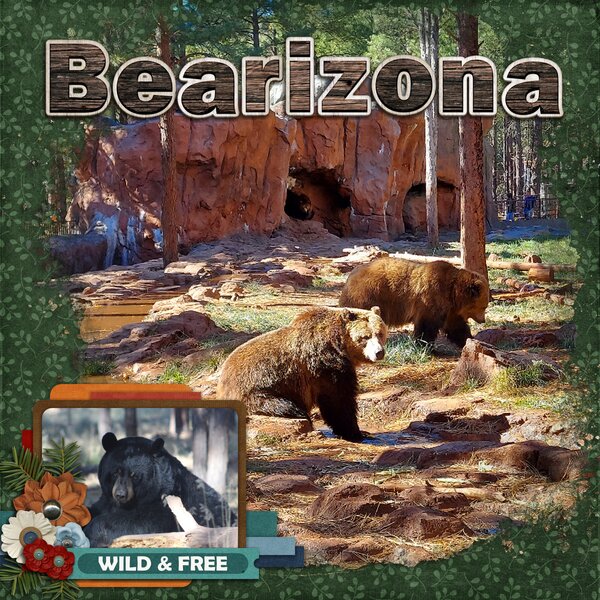 Un-Bear-ably Cute