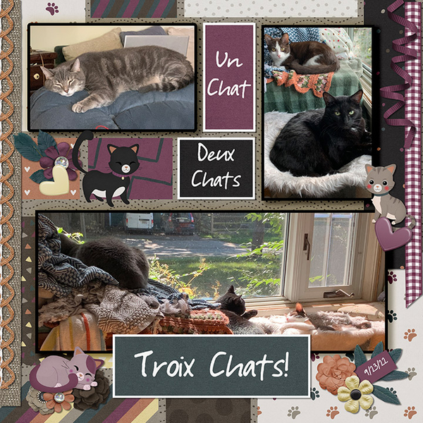 Un, Deux, Trois Chats