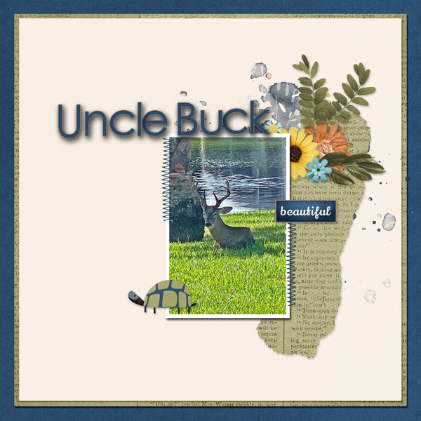 Uncle Buck