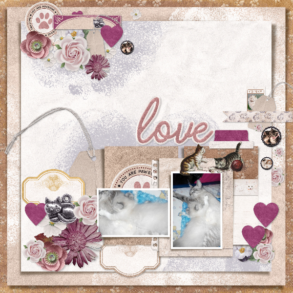 unconditional_love4