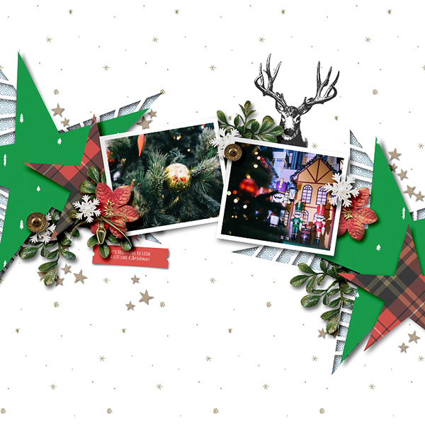 Under the Christmas tree