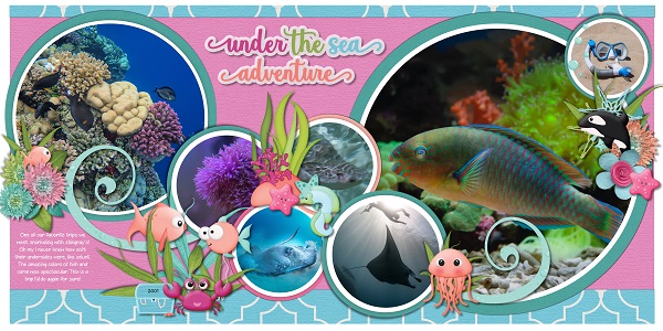 Under The Sea Adventure