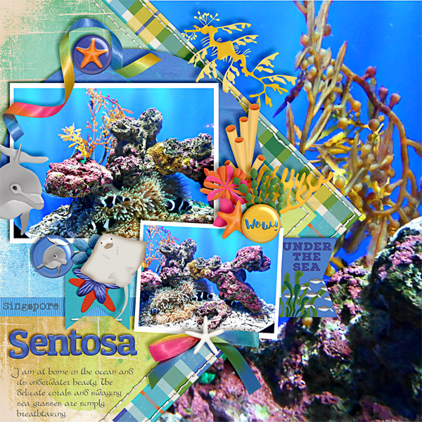 Under the Sea