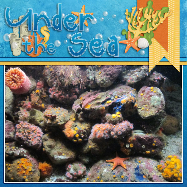 under the sea