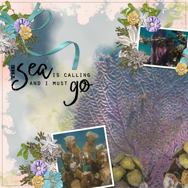 Under the Sea