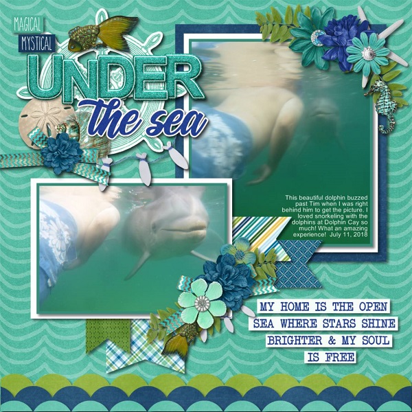 Under the Sea