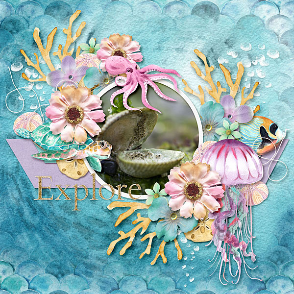 Under the Sea