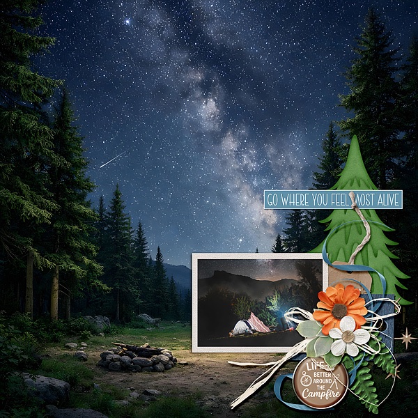 Under the Stars