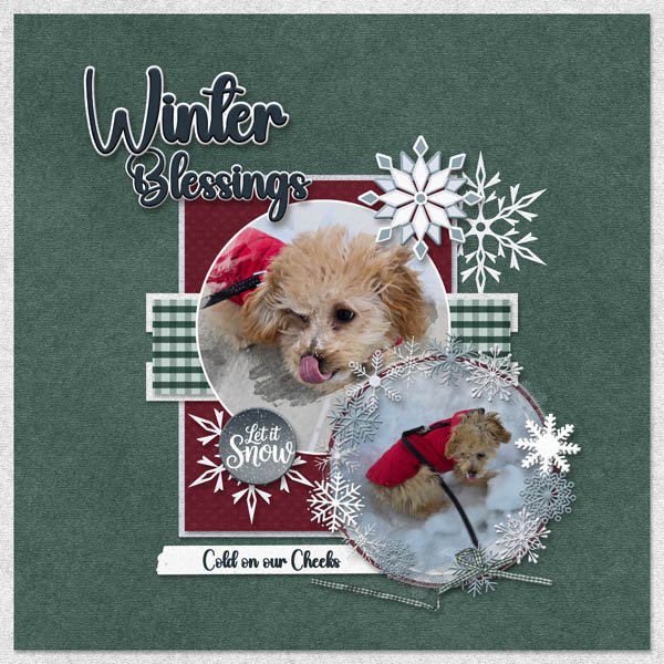 Under Winter Skies - SCD-CAC4-TP3.psd 600.jpg