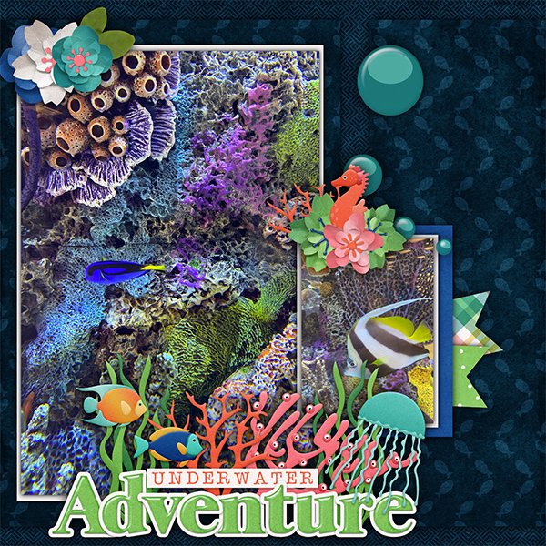 Underwater Adventure