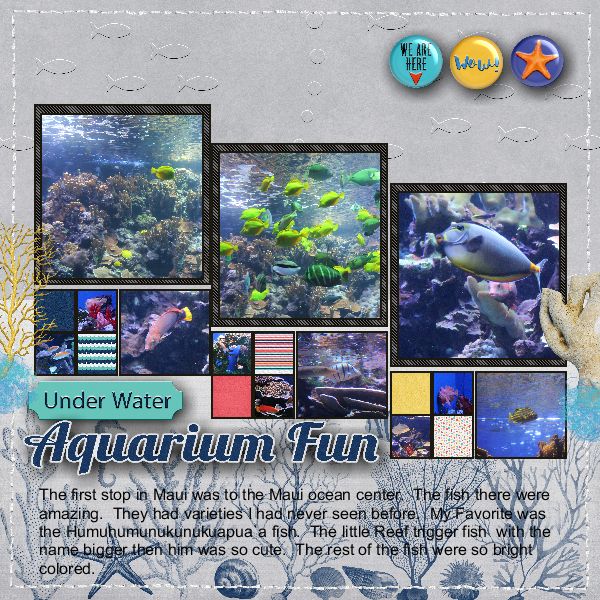 Underwater Aquarium Fun